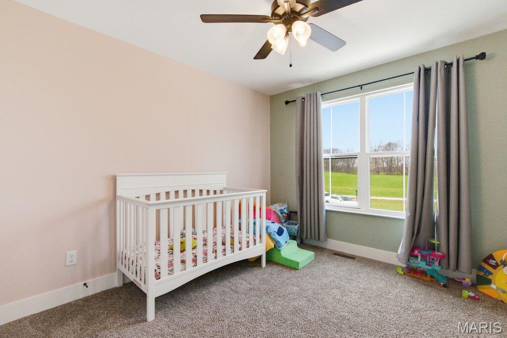 6104 Old Red Bud Road Waterloo, IL 62298 - Photo 39 of 52