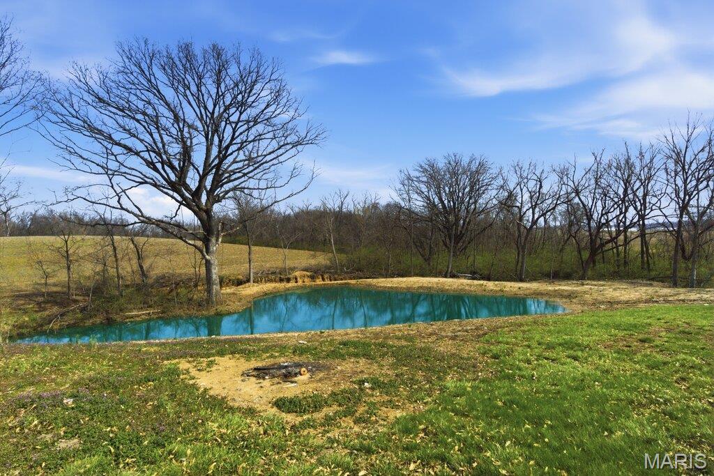 6104 Old Red Bud Road Waterloo, IL 62298 - Photo 6 of 52