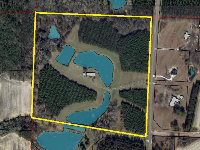 611 Ben Ivey Road Webb, AL 36376 - Photo 1 of 1