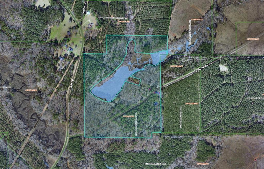 242 Slaughter Road Homer, LA 71040 - Photo 13 of 13 Gallery Image 13