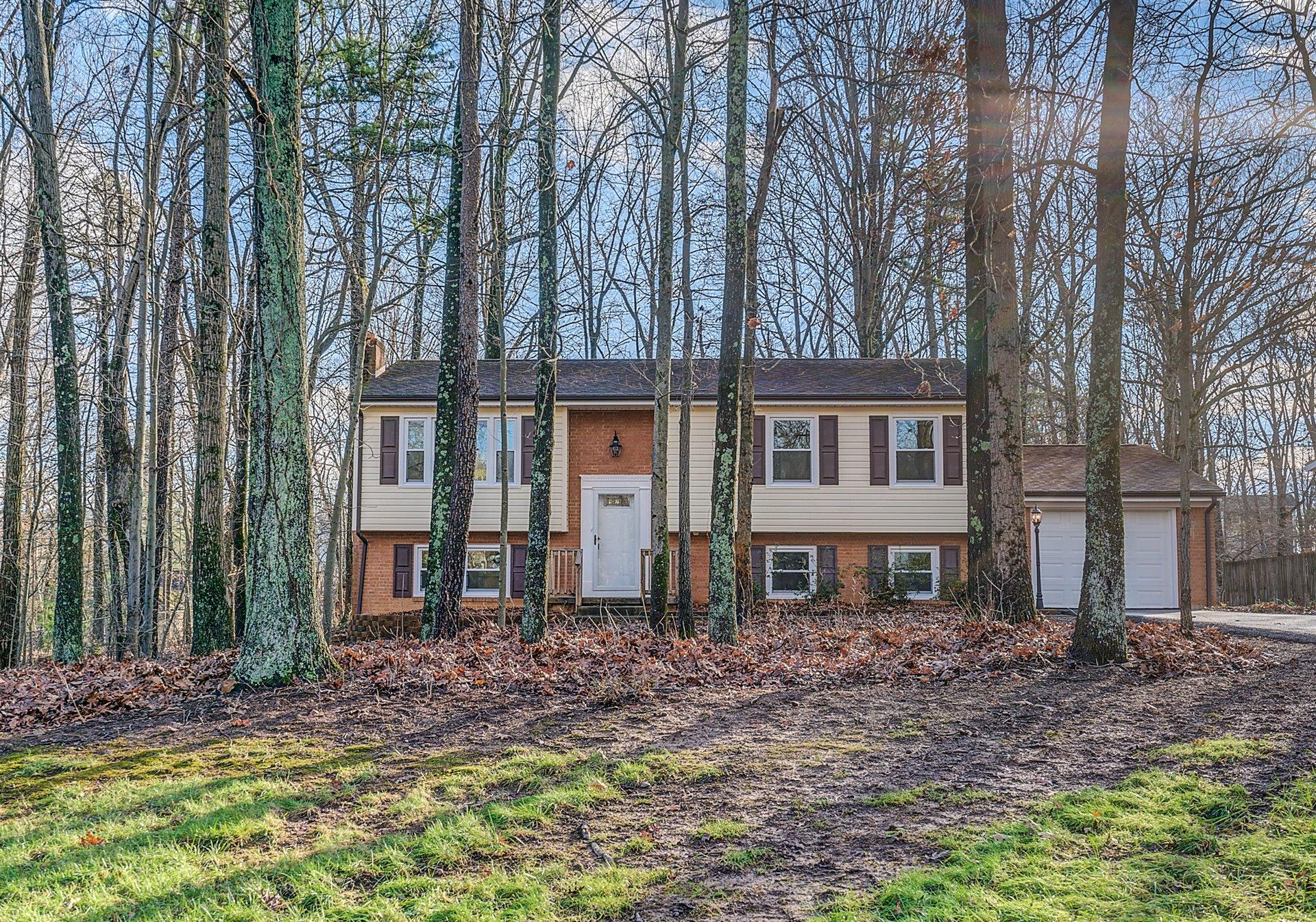 187 Beachmont Drive Blue Ridge, VA 24064 - Photo 2 of 31 02-DSC00289And8more