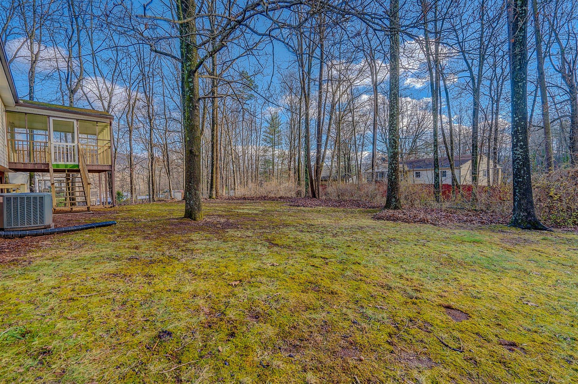 187 Beachmont Drive Blue Ridge, VA 24064 - Photo 30 of 31 30-DSC00262And8more
