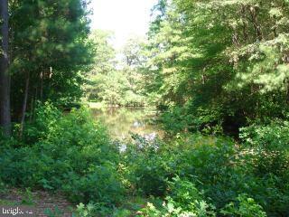 Lot 345 Collins Road Bishopville, MD 21813 - Photo 1 of 2 Gallery Image 1