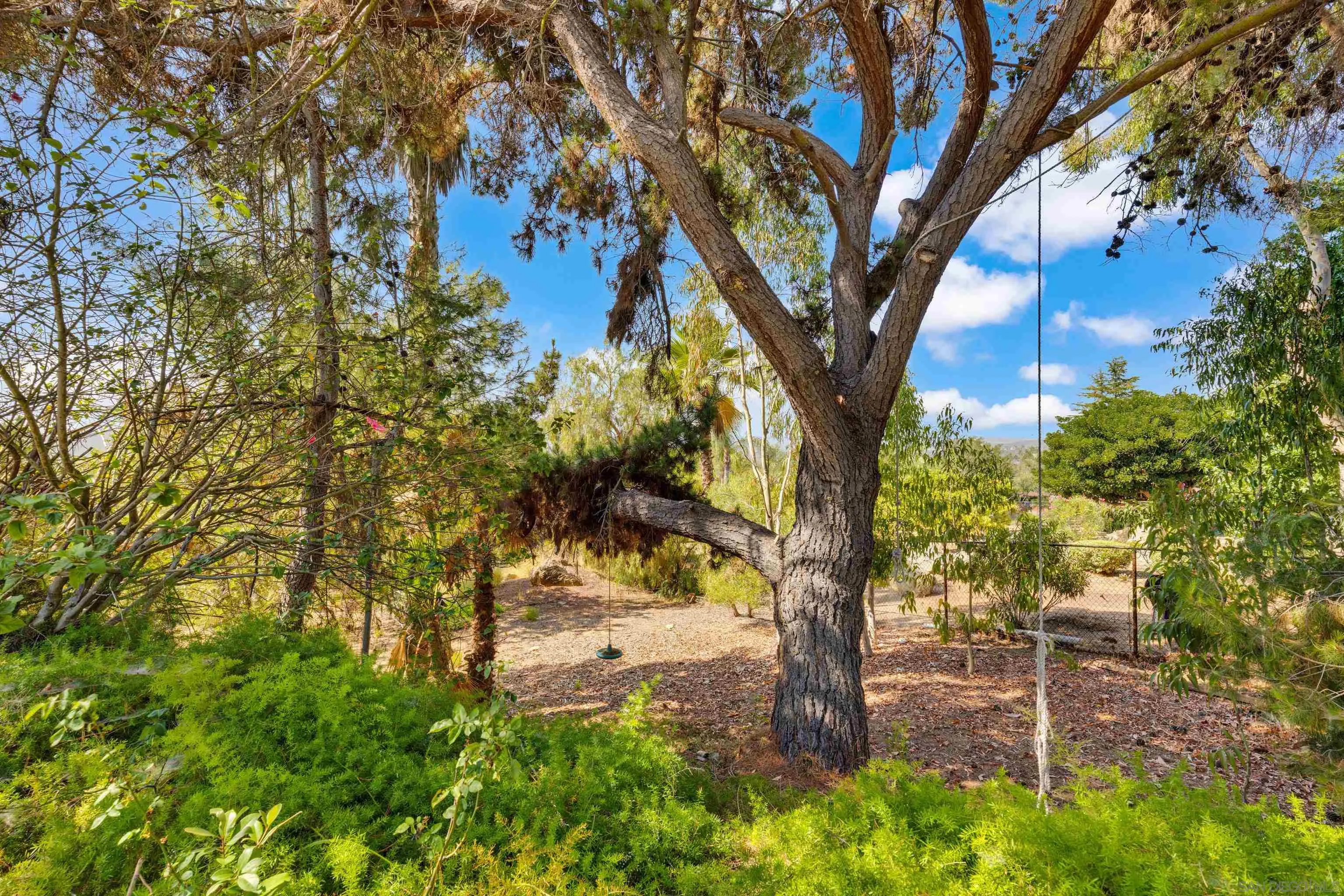 15235 Crestview Court Poway, CA 92064 - Photo 69 of 75 a view of a tree in a yard