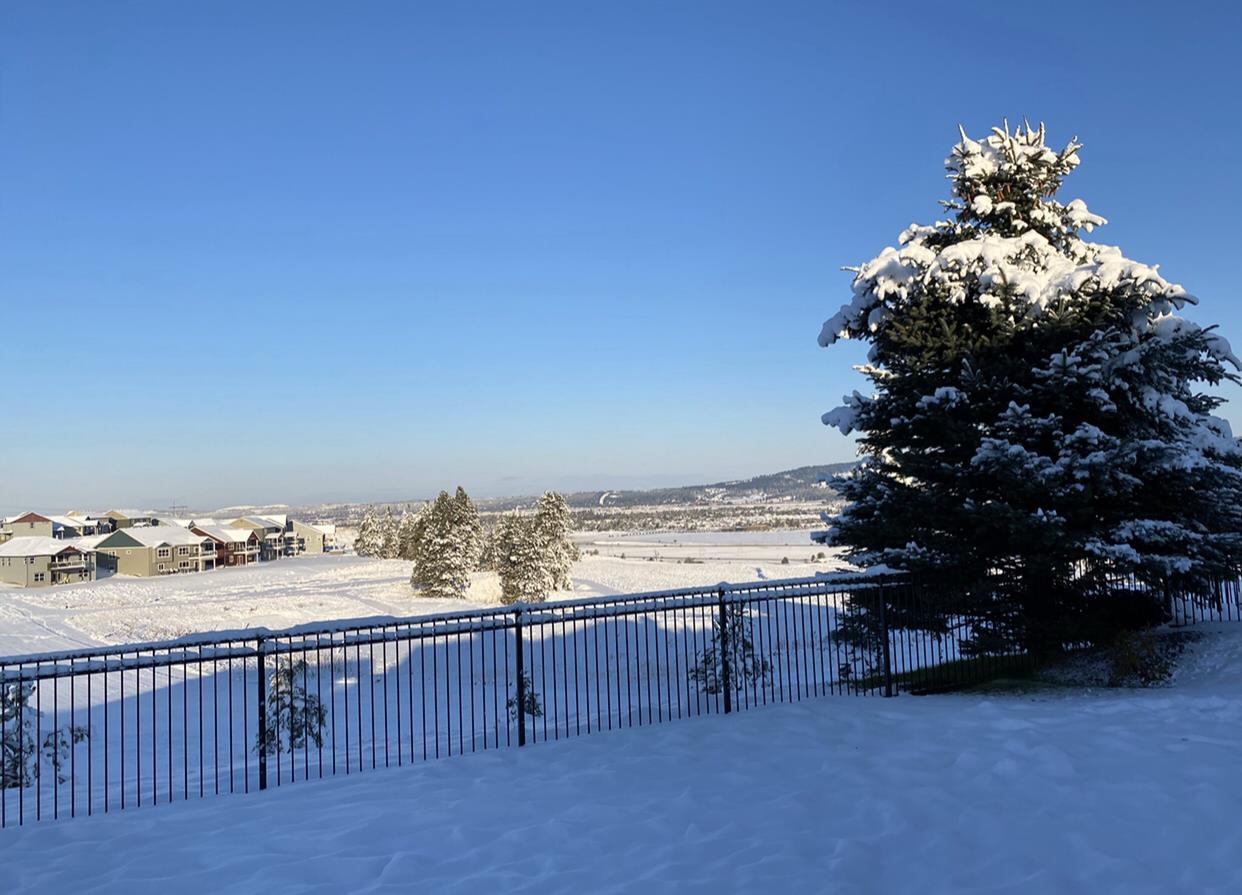 75 South Legacy Ridge Drive Liberty Lake, WA 99019 - Photo 46 of 48