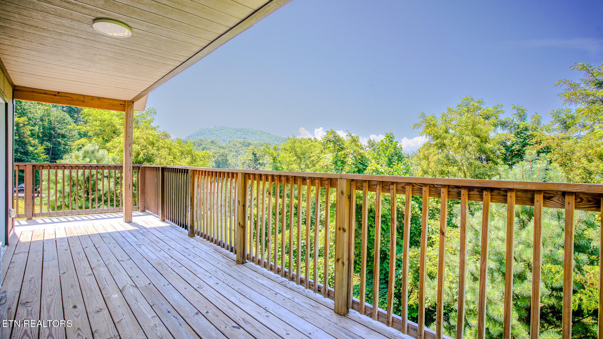 1081 Cove Road, Unit 103 Sevierville, TN 37876 - Photo 18 of 28 DSC01611-HDR