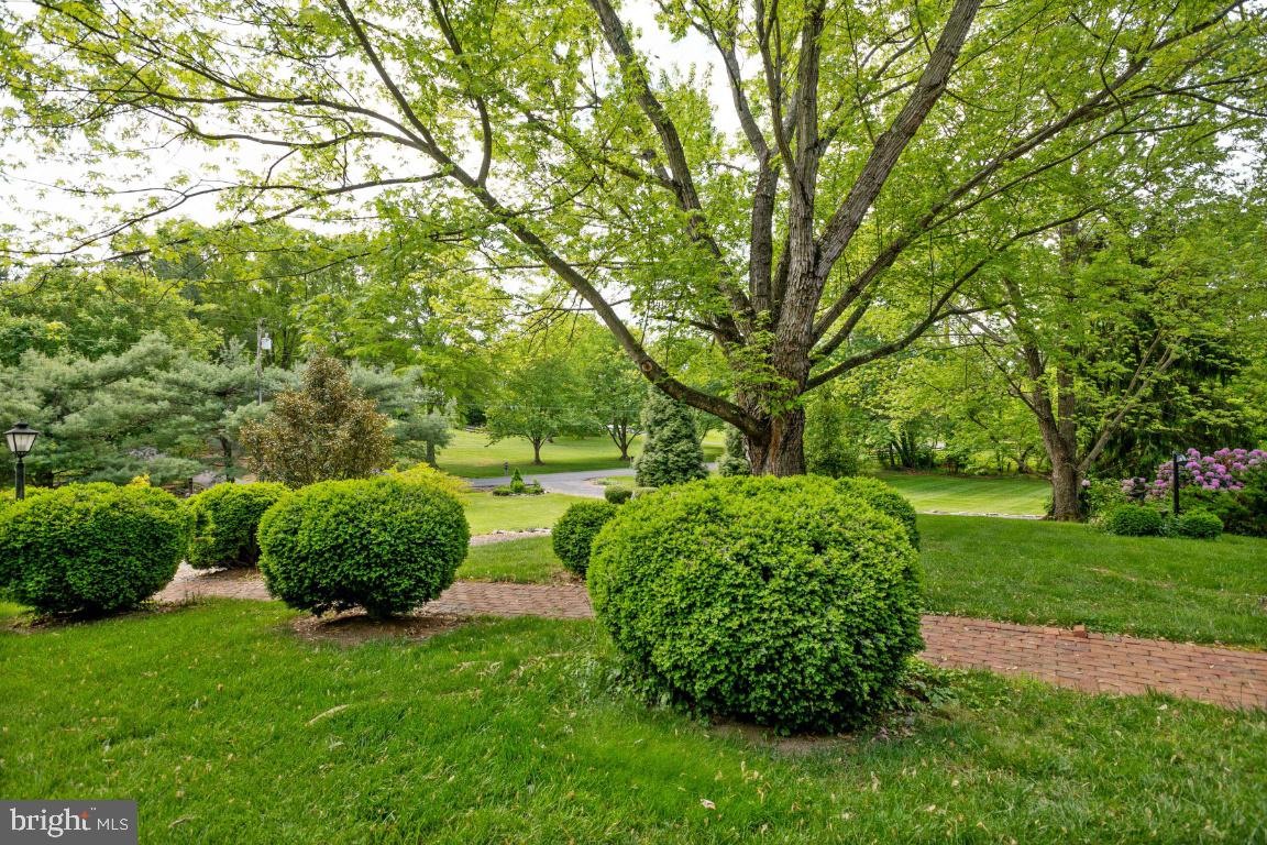 3191 Rockland Road Front Royal, VA 22630 - Photo 71 of 80 Gallery Image 71