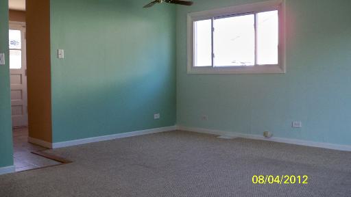 9050 South Ryan Road Hometown, IL 60456 - Photo 3 of 10