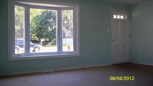 9050 South Ryan Road Hometown, IL 60456 - Photo 4 of 10