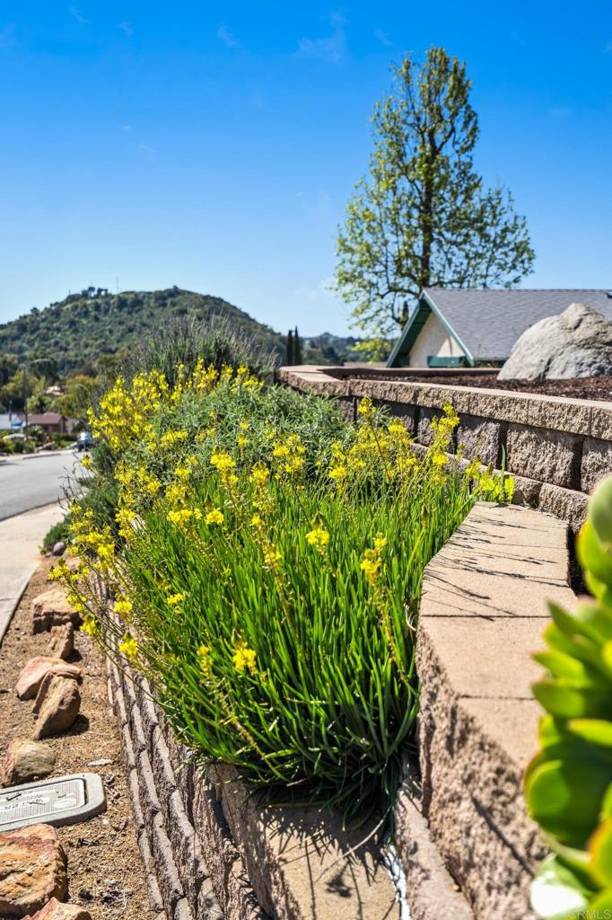 13439 Orange Blossom Lane Poway, CA 92064 - Photo 33 of 36 a view of a water with a fountain in the background