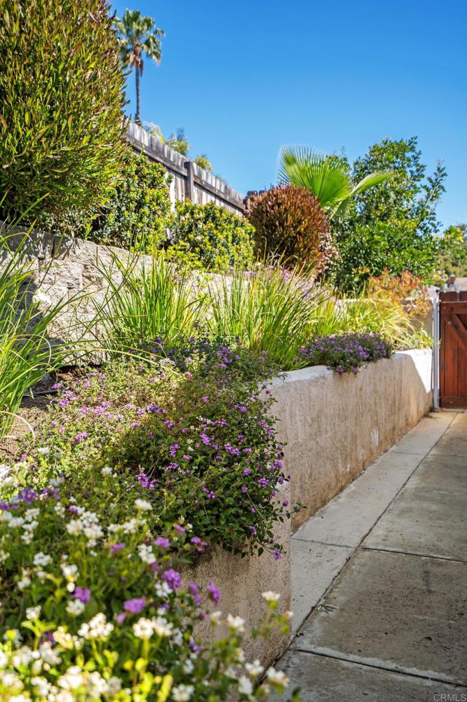 13439 Orange Blossom Lane Poway, CA 92064 - Photo 35 of 36 a plant that is in front of flowers