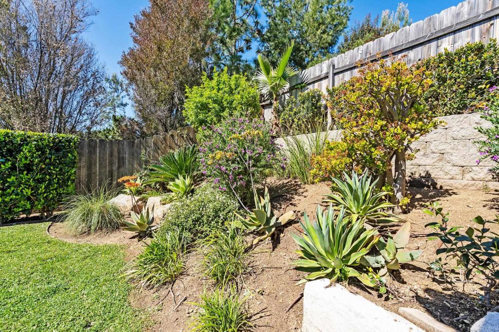 13439 Orange Blossom Lane Poway, CA 92064 - Photo 36 of 36 a view of a yard with plants