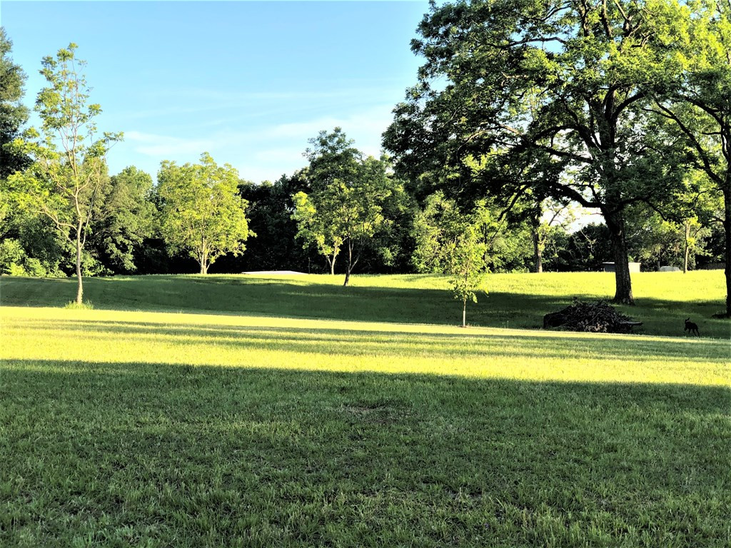 278 Ogden Road Natchez, MS 39120 - Photo 56 of 60 Photo 56