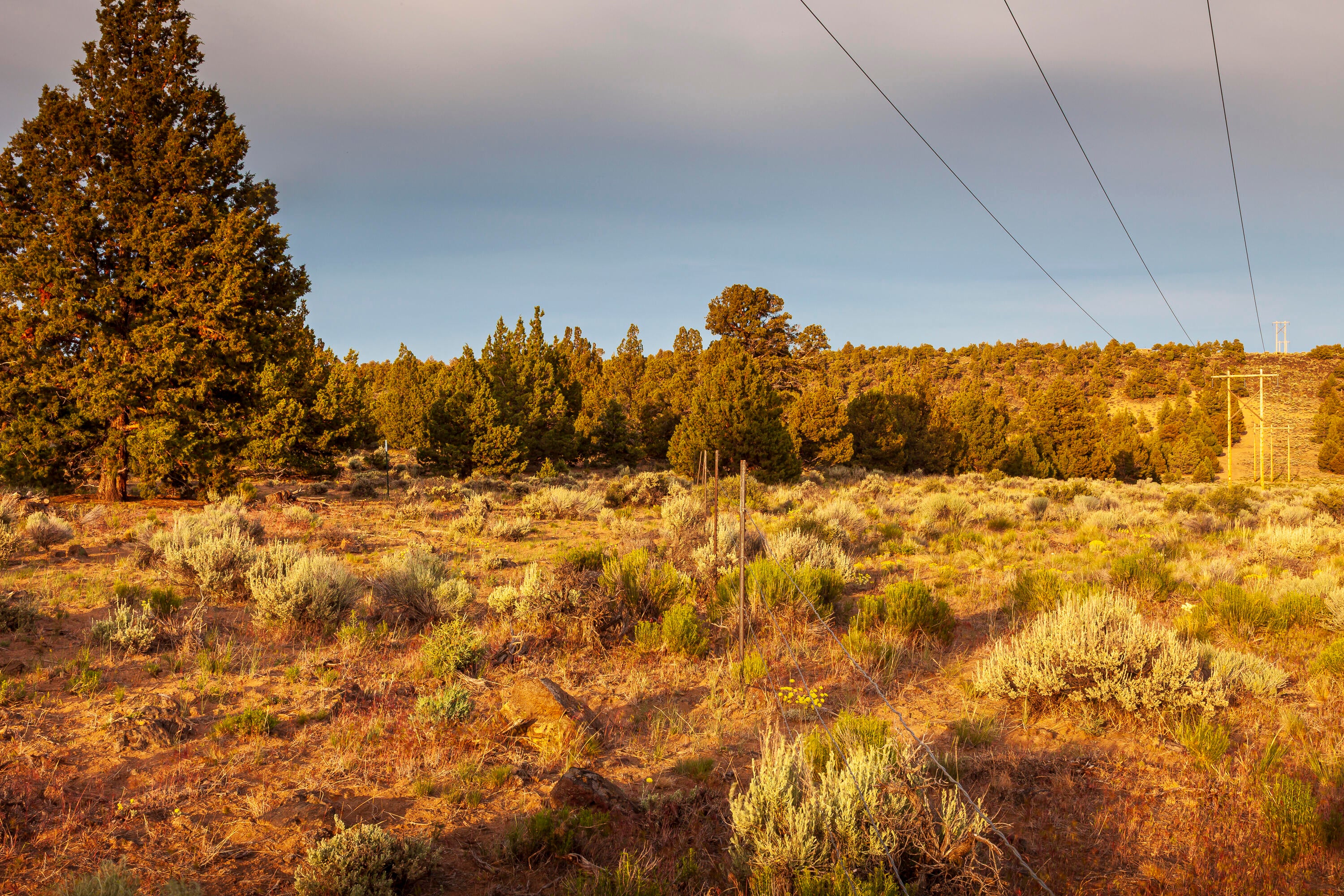 0 Rd 25 Aka Golden View Ranch Rd Bend, Unit LOT 30 Bend, OR 97701 - Photo 28 of 34 Approximate SW corner of the lot (looking East).