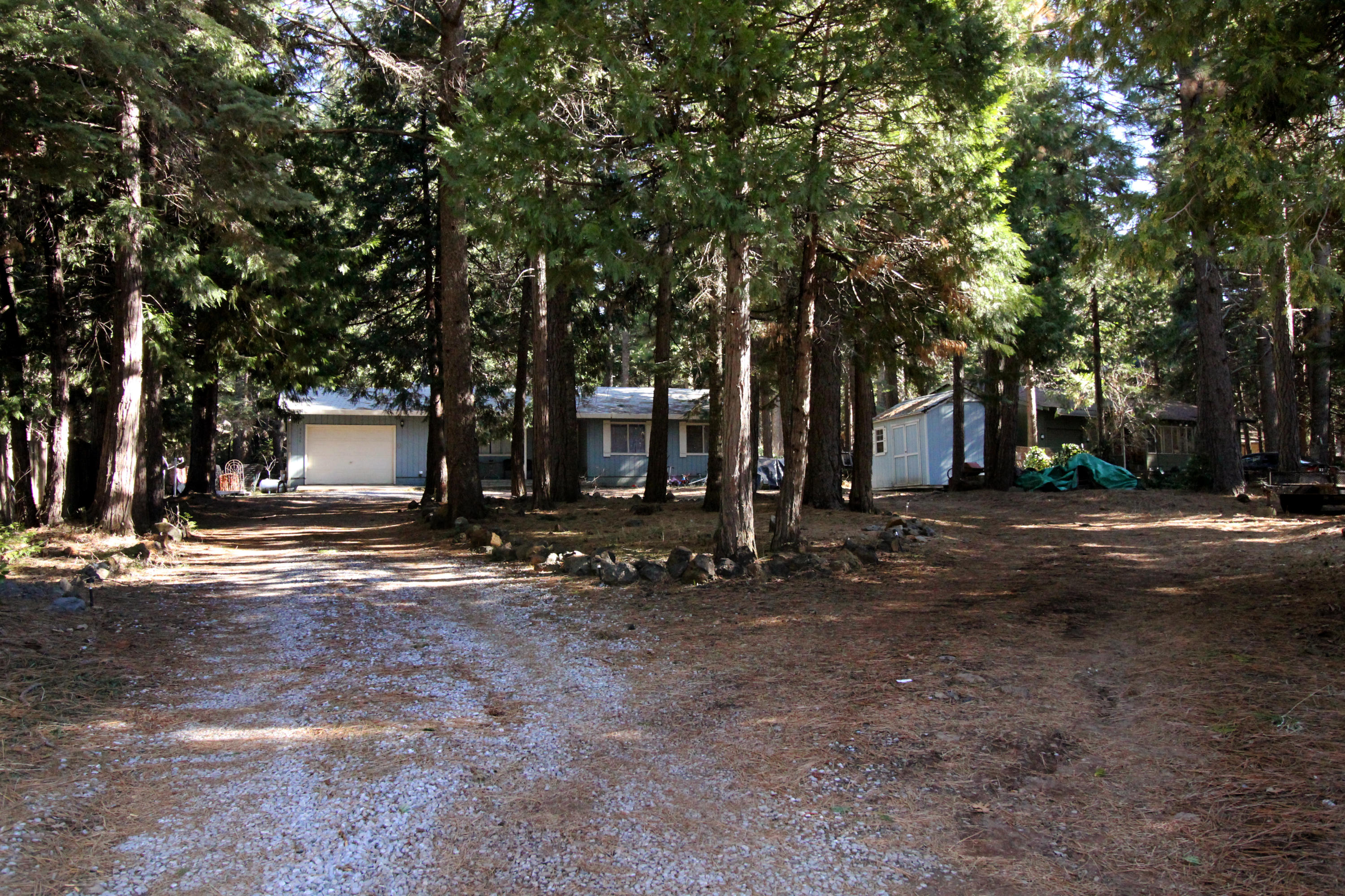 8428 Starlite Pines Road Shingletown, CA 96088 - Photo 3 of 35 Starlite Pines_9537