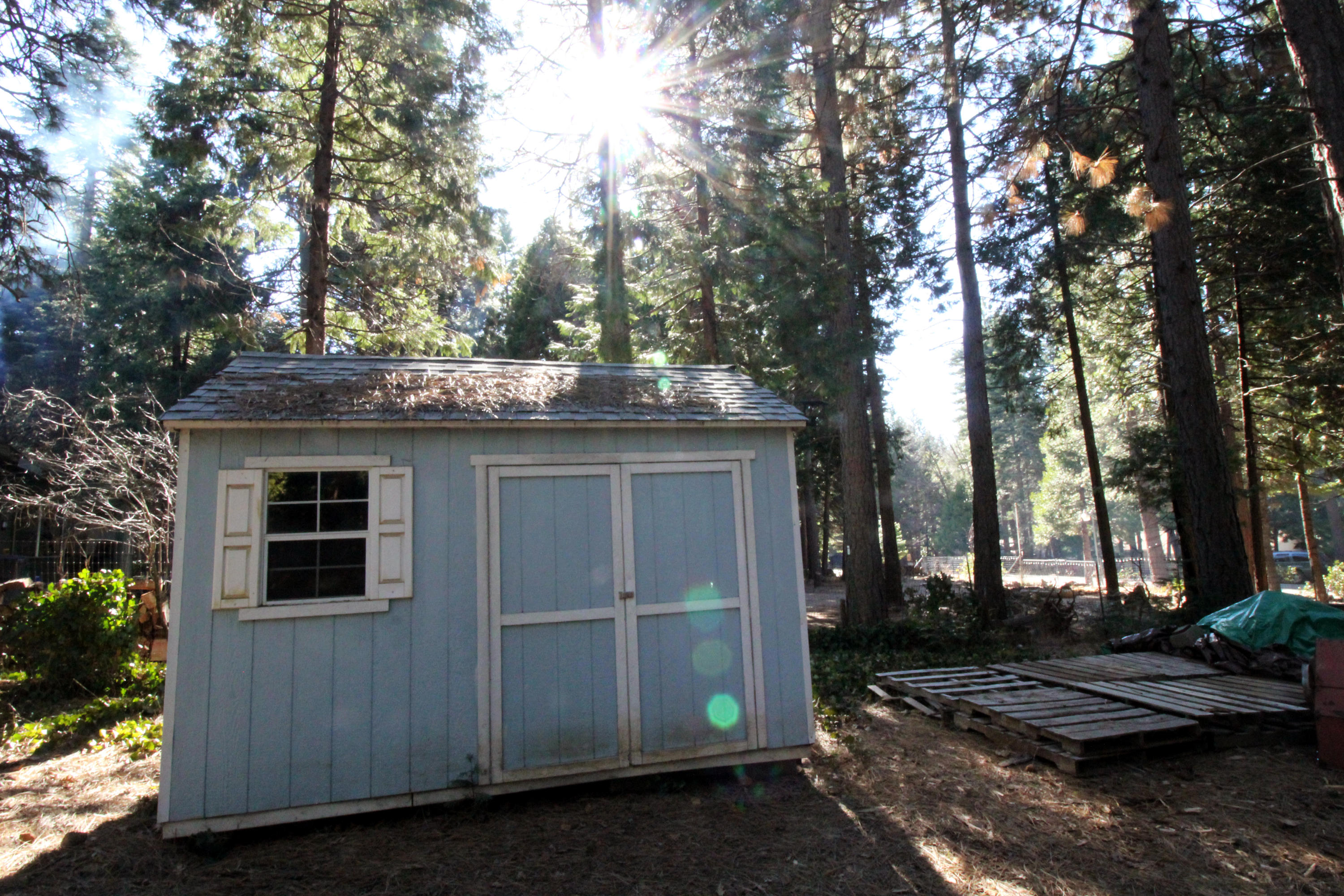 8428 Starlite Pines Road Shingletown, CA 96088 - Photo 32 of 35 Starlite Pines_9533