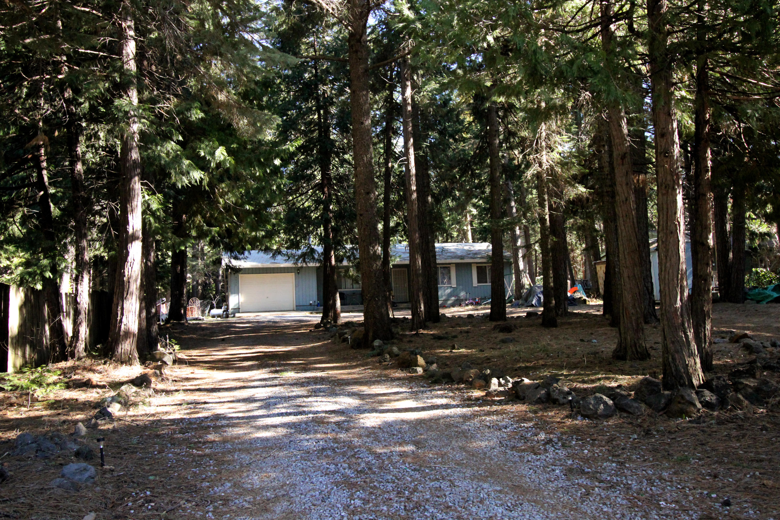 8428 Starlite Pines Road Shingletown, CA 96088 - Photo 4 of 35 Starlite Pines_9538
