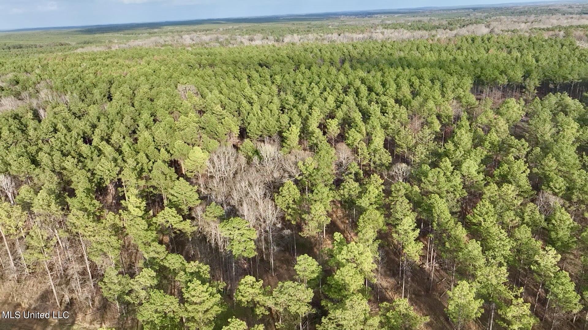 1 Putnam Road Pickens, MS 39146 - Photo 36 of 46 5F886CC3-F437-4D75-BB36-BB0FF673E61F_1_2