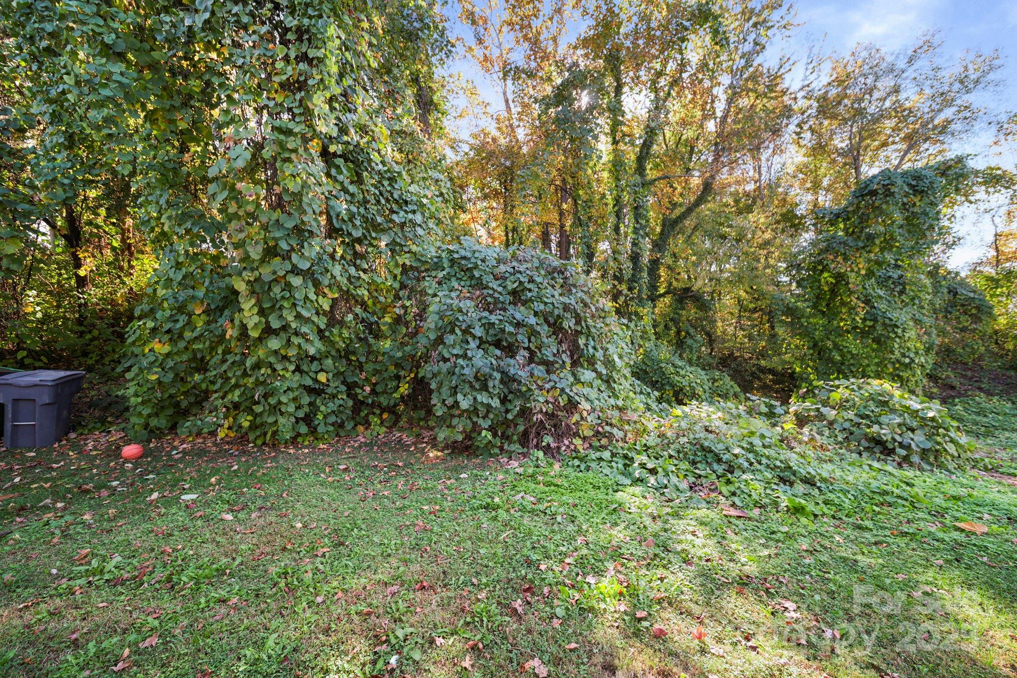 1424 Griers Grove Road Charlotte, NC 28216 - Photo 37 of 37 Gallery Image 37