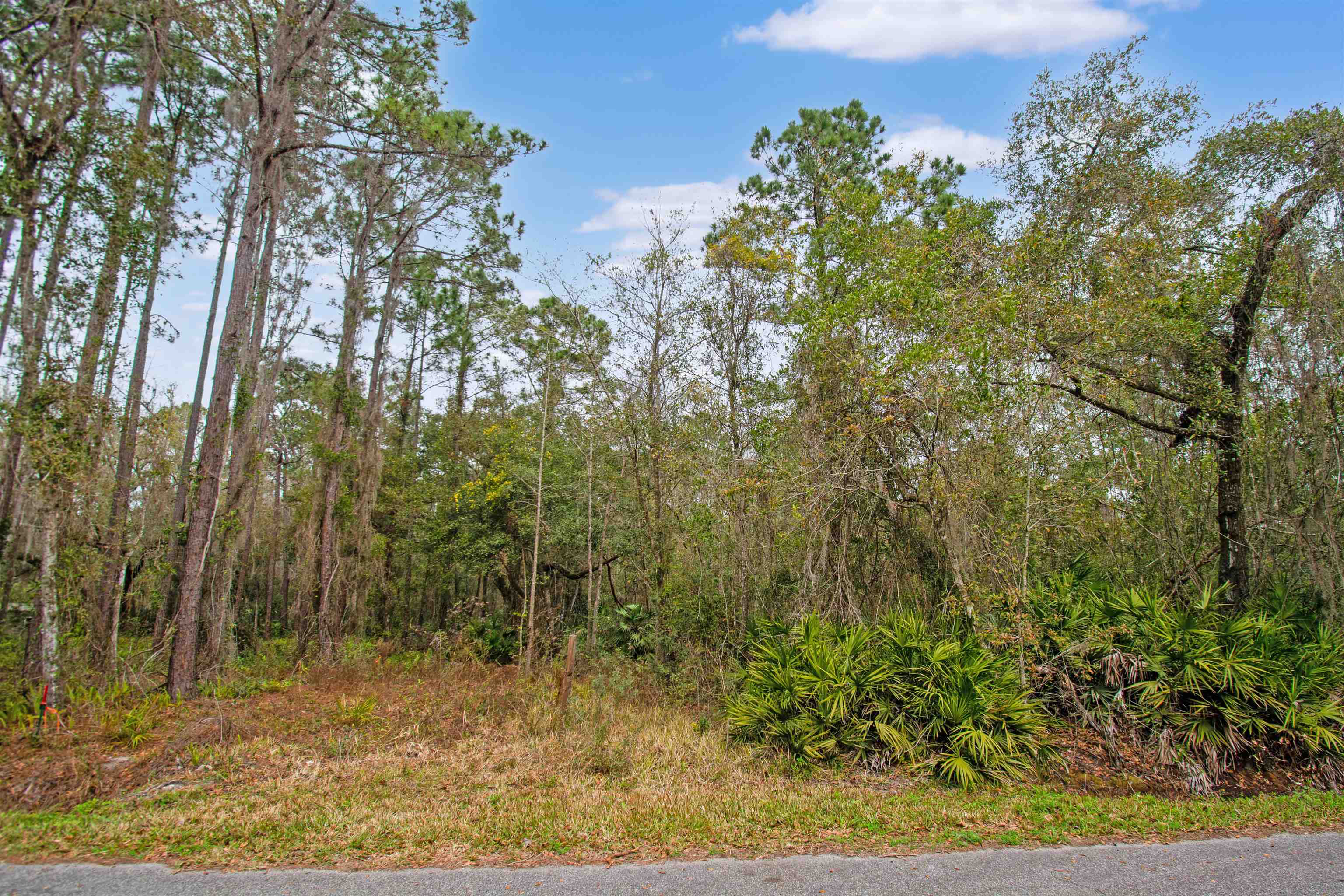 0 Riverdale Road St. Augustine, FL 32092 - Photo 13 of 17 Gallery Image 13