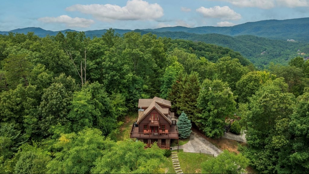 3110 Hatcher Top Road Sevierville, TN 37862 - Photo 3 of 41 Gallery Image 3