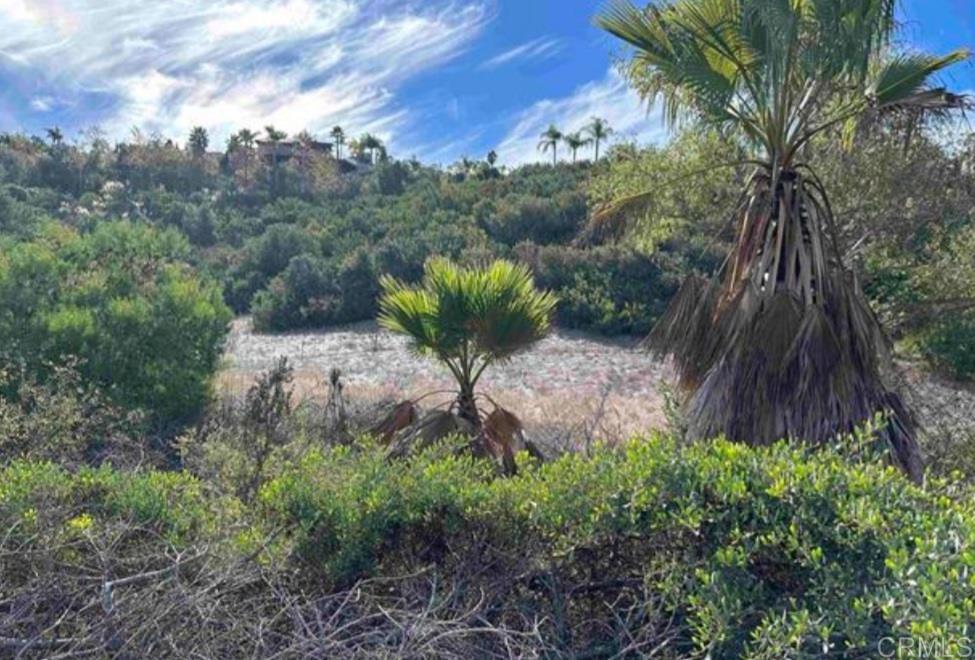 0 Otay Lake Chula Vista, CA 91911 - Photo 1 of 3 a view of a backyard