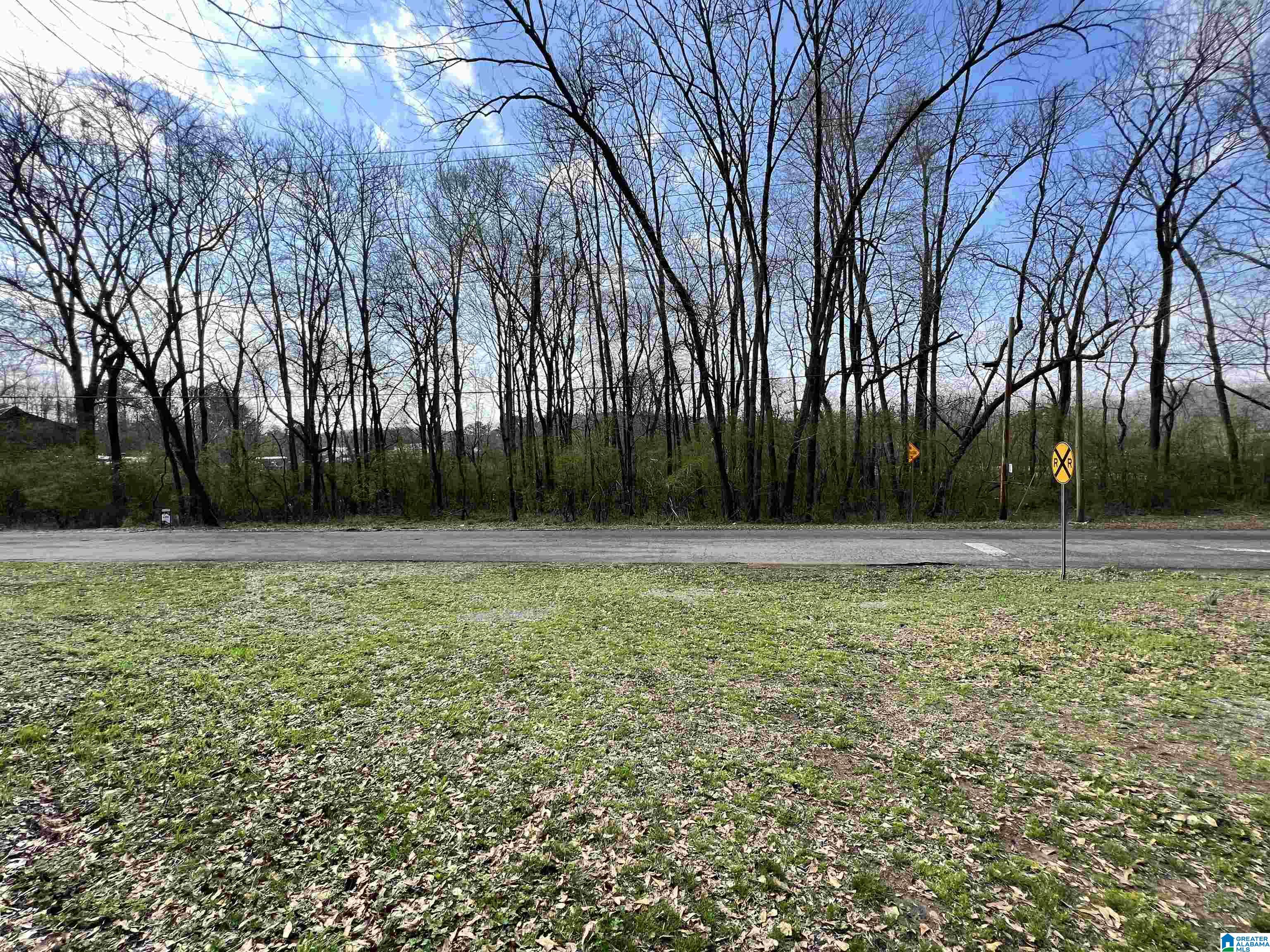 112 Robinson Street, Unit 95 ACRES Springville, AL 35146 - Photo 1 of 5