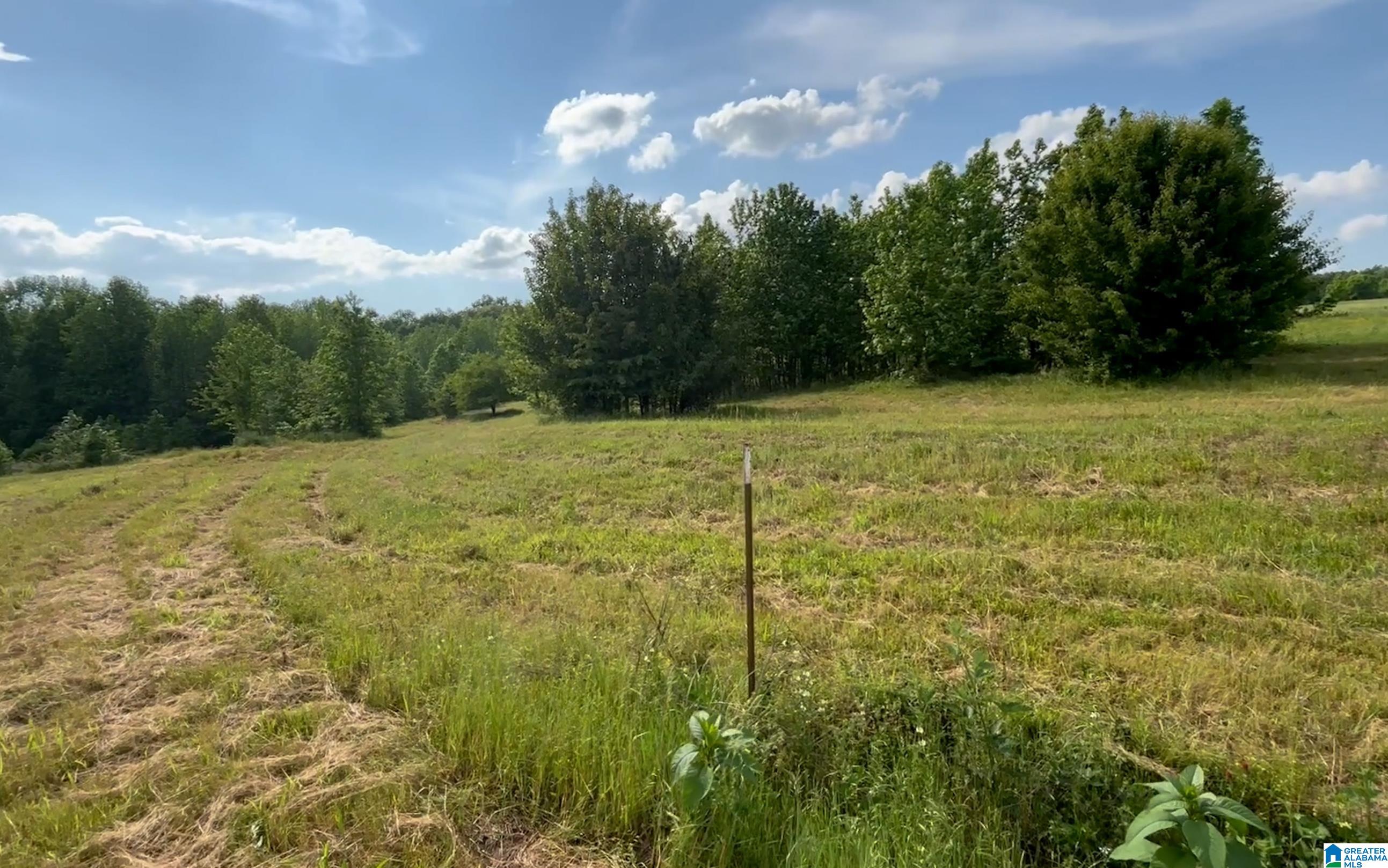 1895 Marvin Adcock Road, Unit 9 ACRES Hayden, AL 35079 - Photo 15 of 18