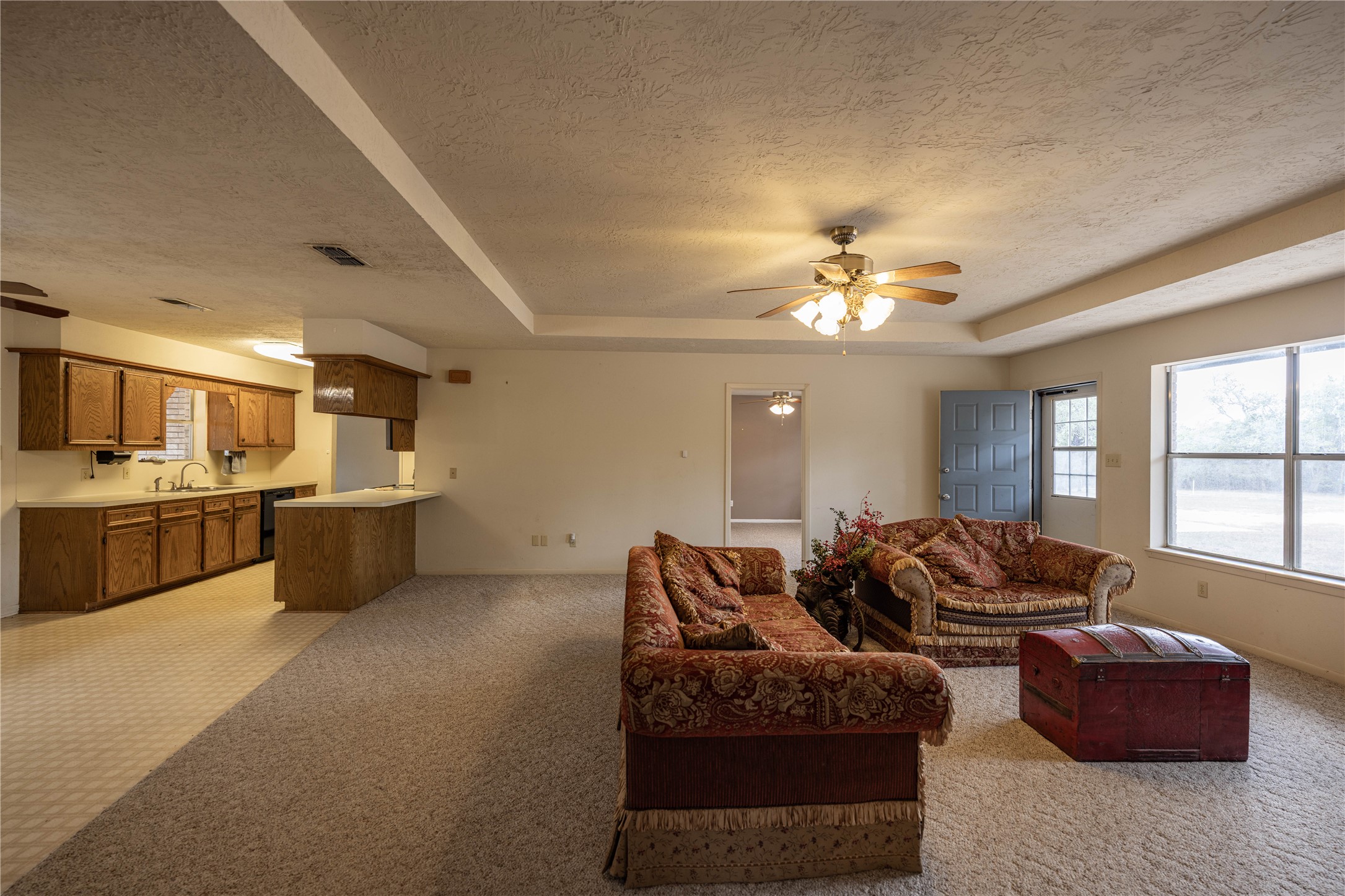 2501 Fischer Store Road Wimberley, TX 78676 - Photo 4 of 23 Spacious open-concept living area featuring carpet flooring, a ceiling fan with integrated lighting, and a large window offering ample natural light