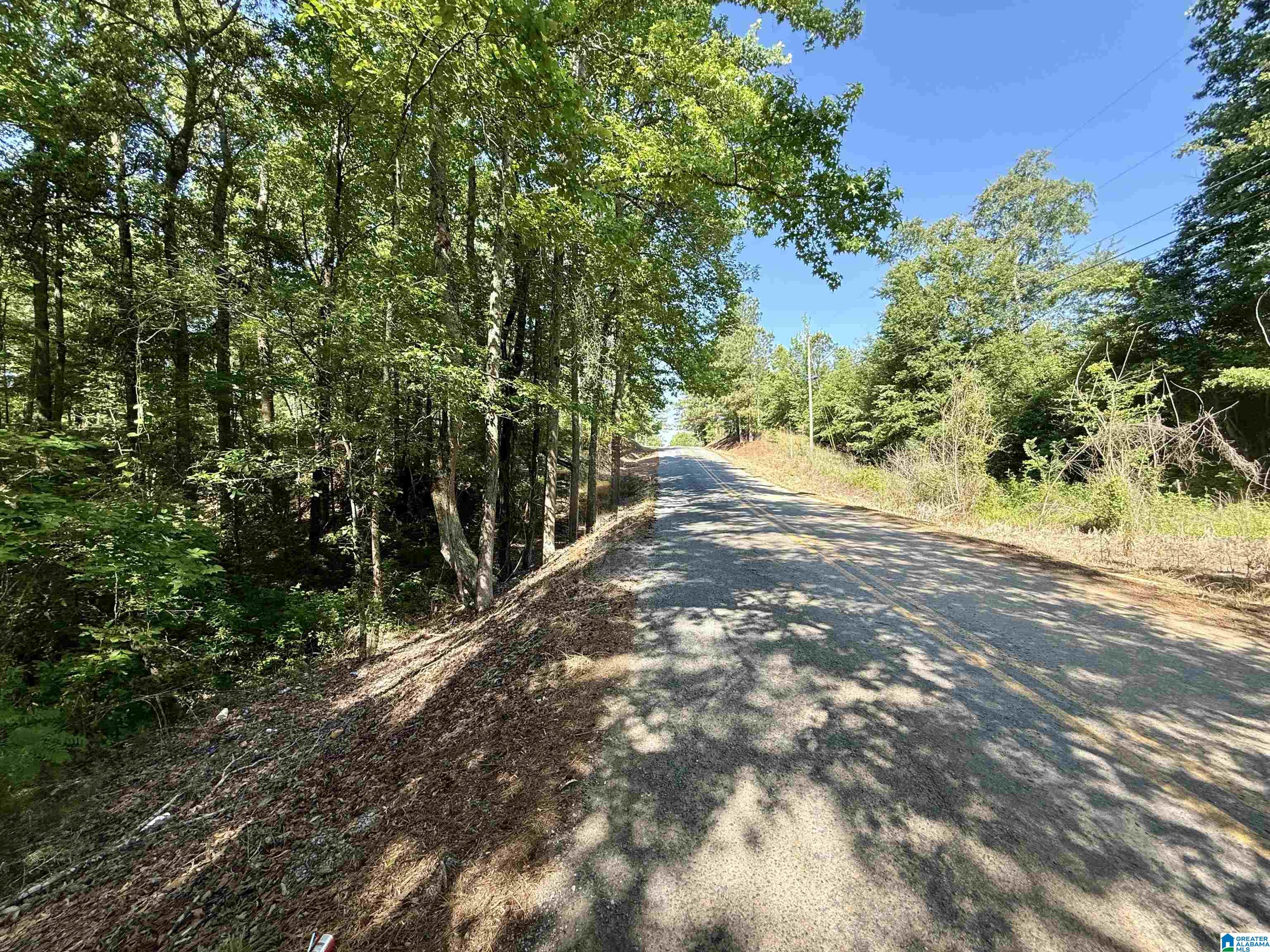 0 Settlement Road Sylacauga, AL 35150 - Photo 2 of 16