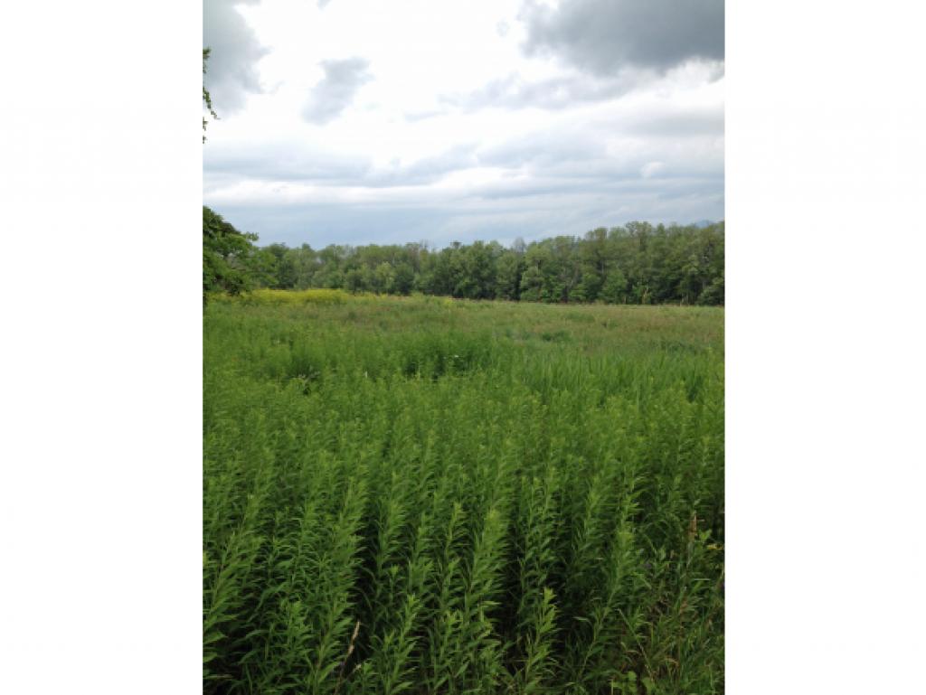 0 Teer Road West Rutland, VT 05777 - Photo 2 of 7