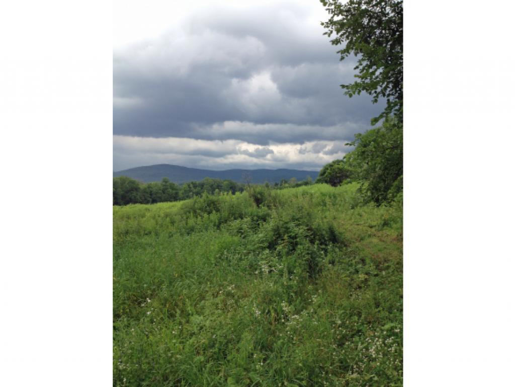 0 Teer Road West Rutland, VT 05777 - Photo 5 of 7