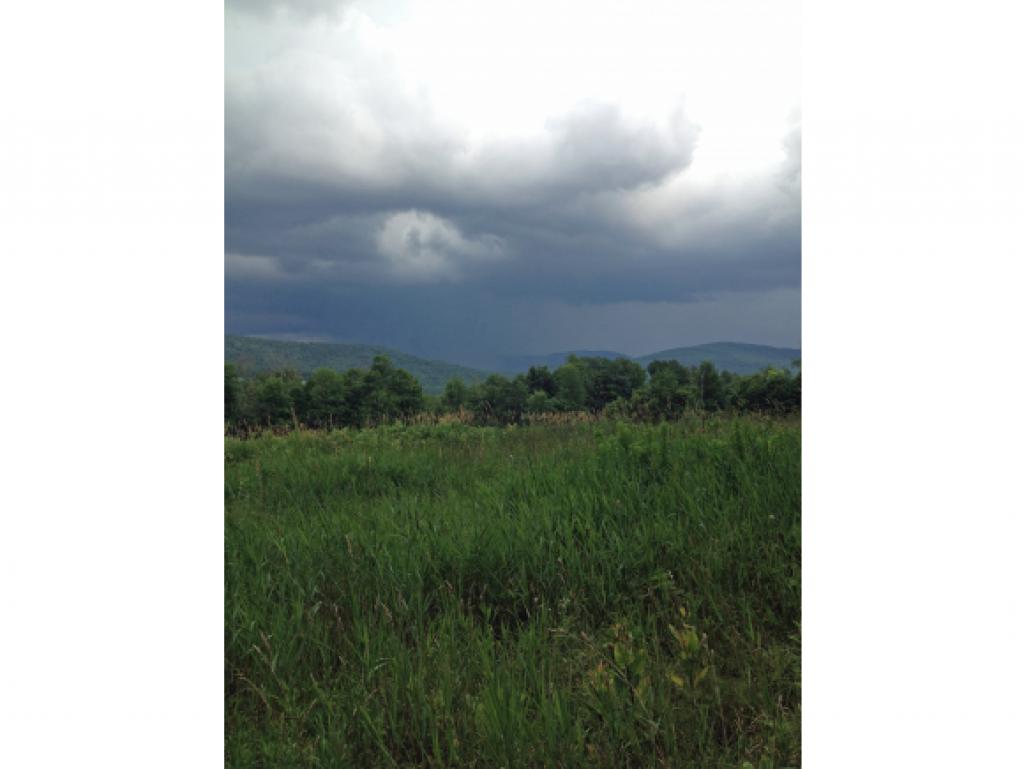 0 Teer Road West Rutland, VT 05777 - Photo 6 of 7
