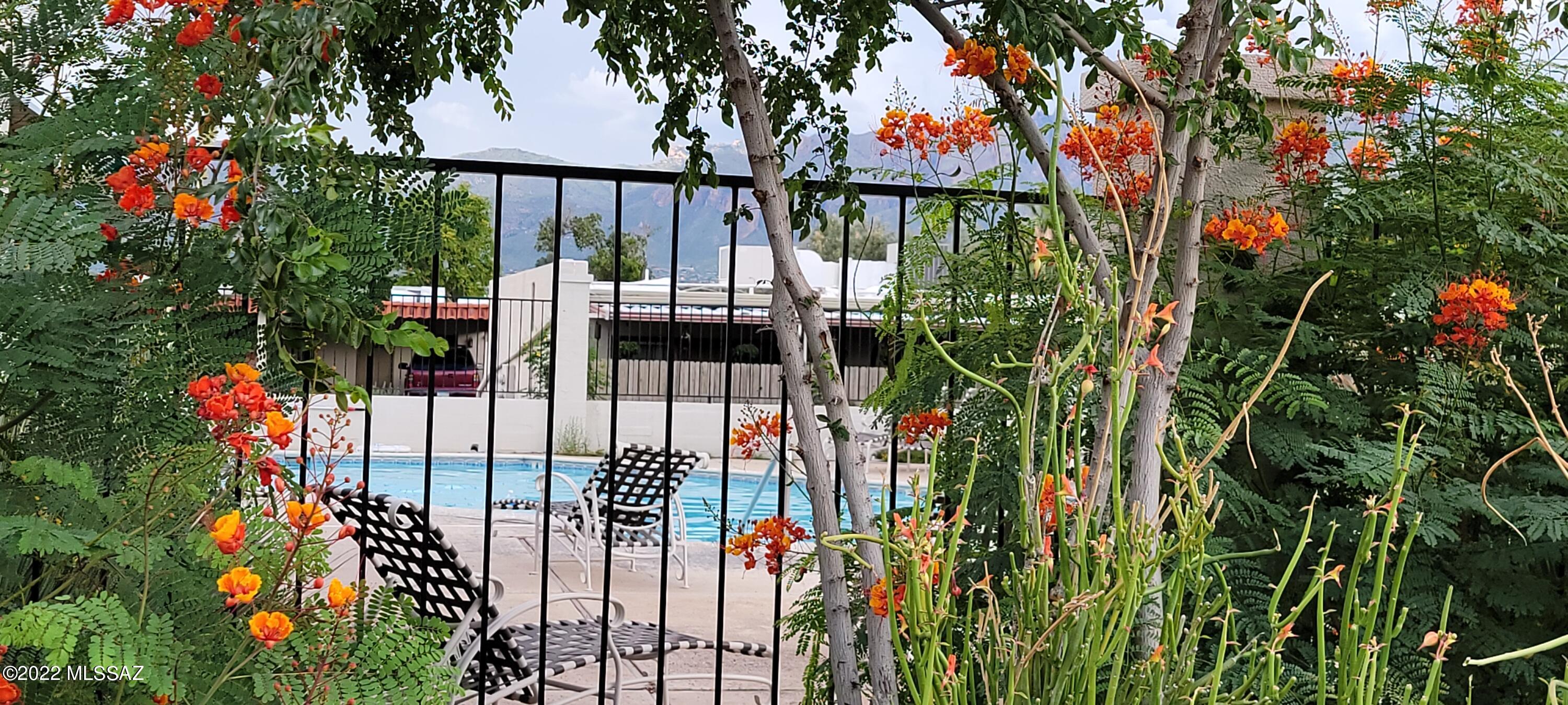 2525 East Prince Road, Unit 21 Tucson, AZ 85716 - Photo 32 of 39 Gallery Image 32