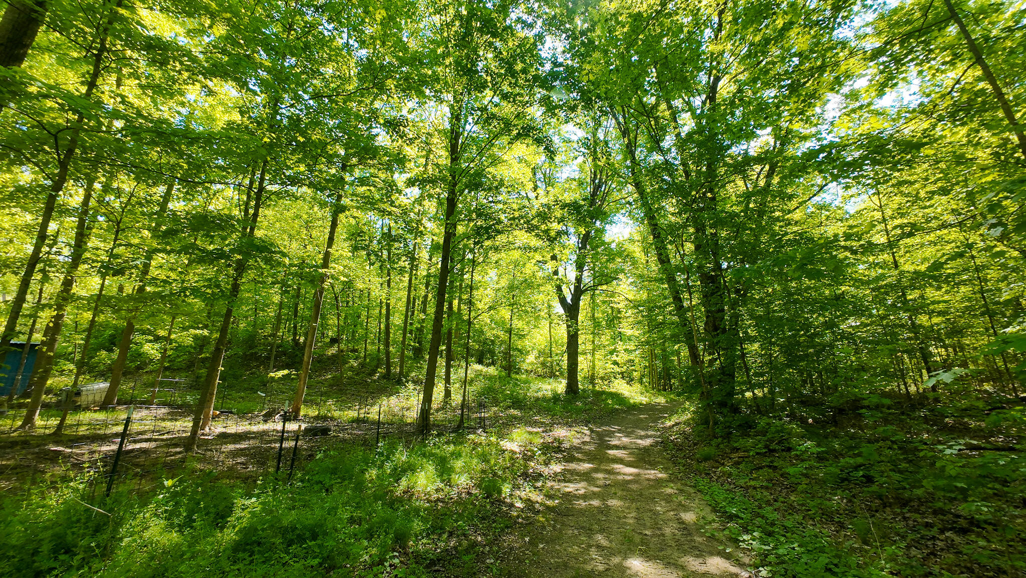4196 West 4 Mile Road White Cloud, MI 49349 - Photo 44 of 65 DJI_20260527113409_0064_D