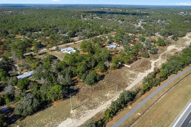a view of a city with lush green forest