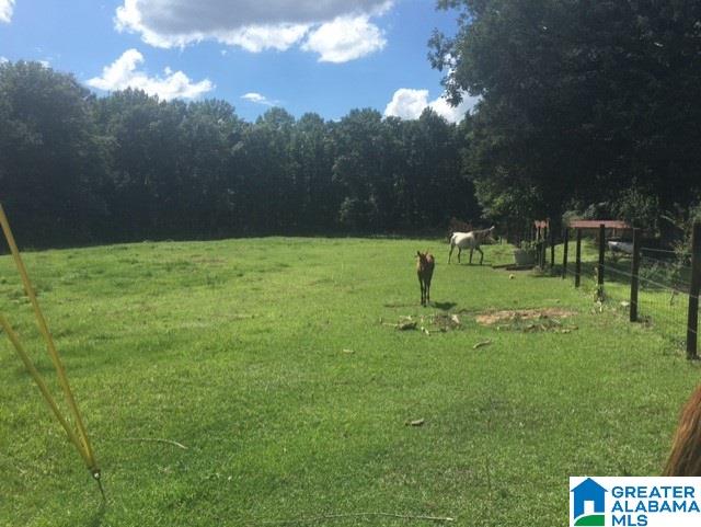 4575 County Road 25 Jemison, AL 35085 - Photo 6 of 46