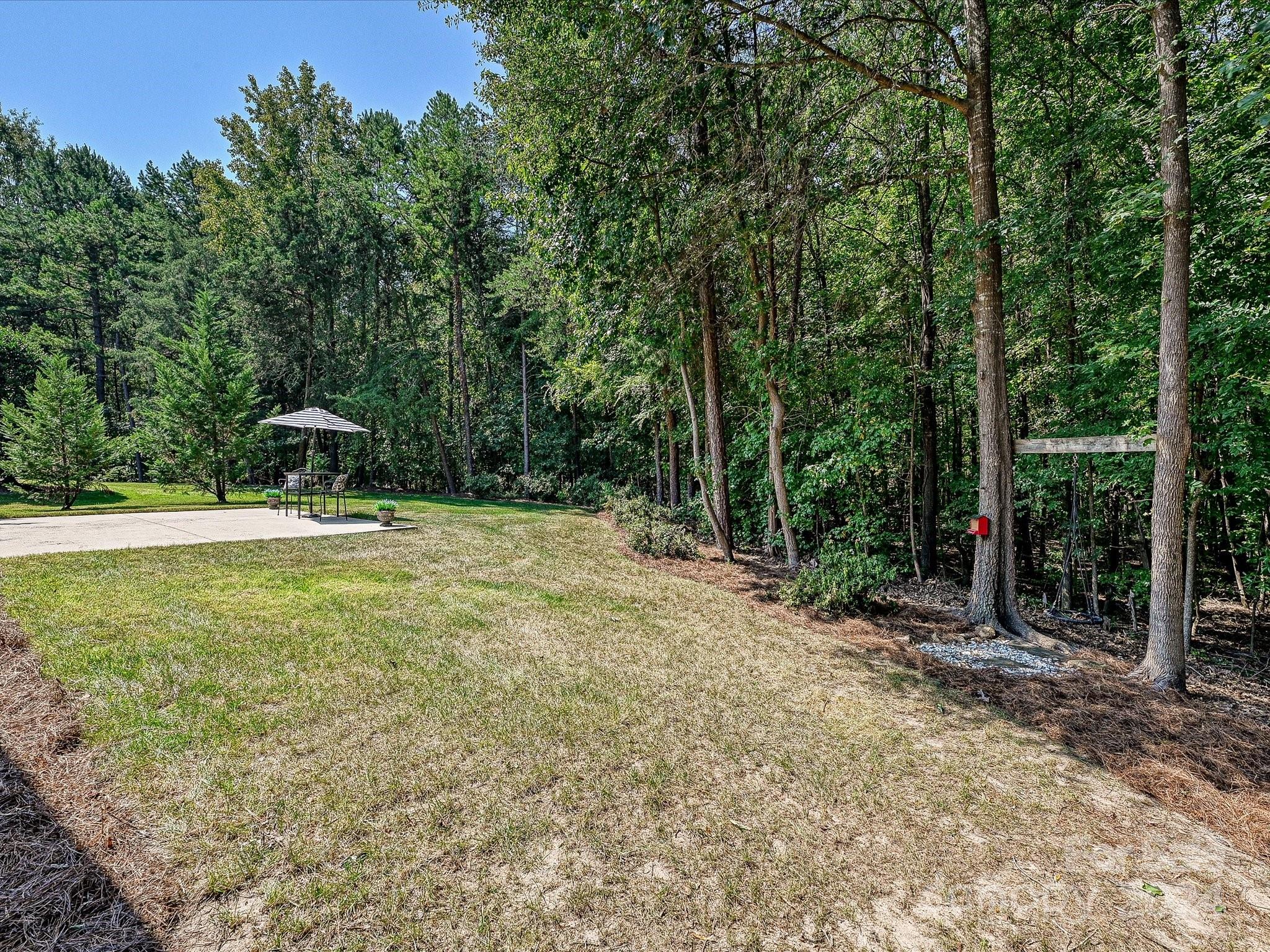 10309 Riesling Court Charlotte, NC 28277 - Photo 41 of 44 a view of a park with large trees