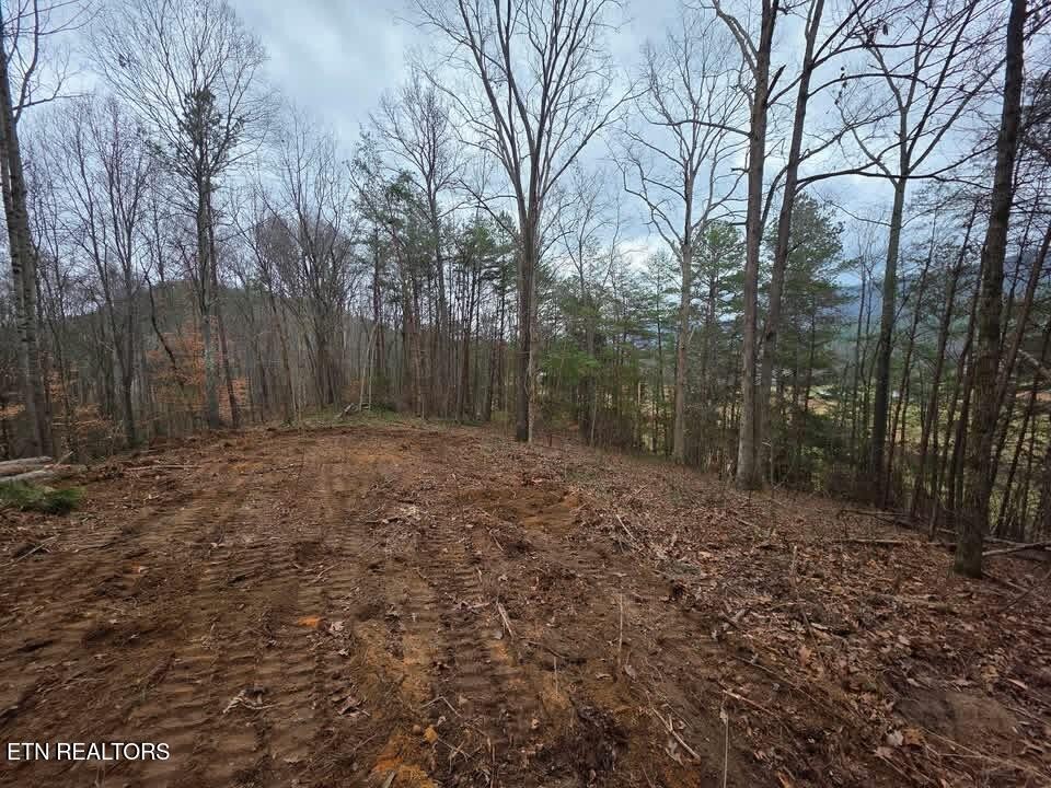 3 Parksville Road Benton, TN 37307 - Photo 1 of 10