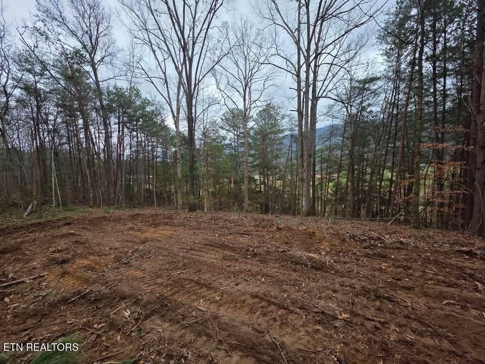 3 Parksville Road Benton, TN 37307 - Photo 2 of 10