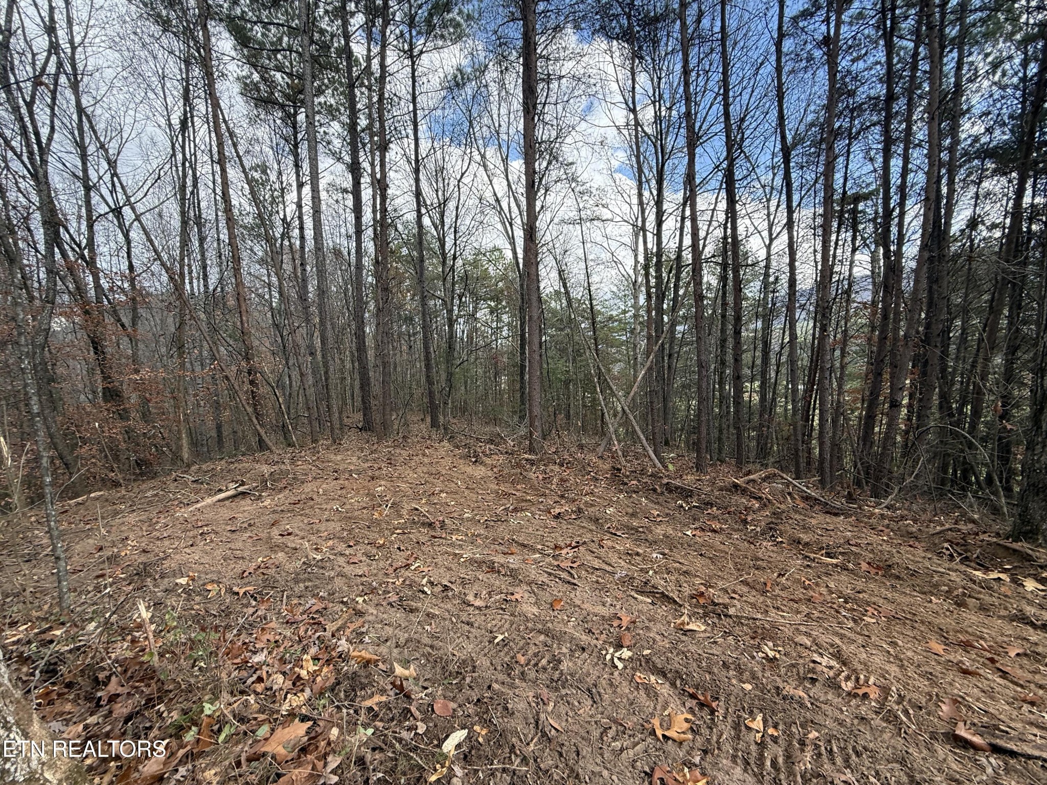 3 Parksville Road Benton, TN 37307 - Photo 5 of 10