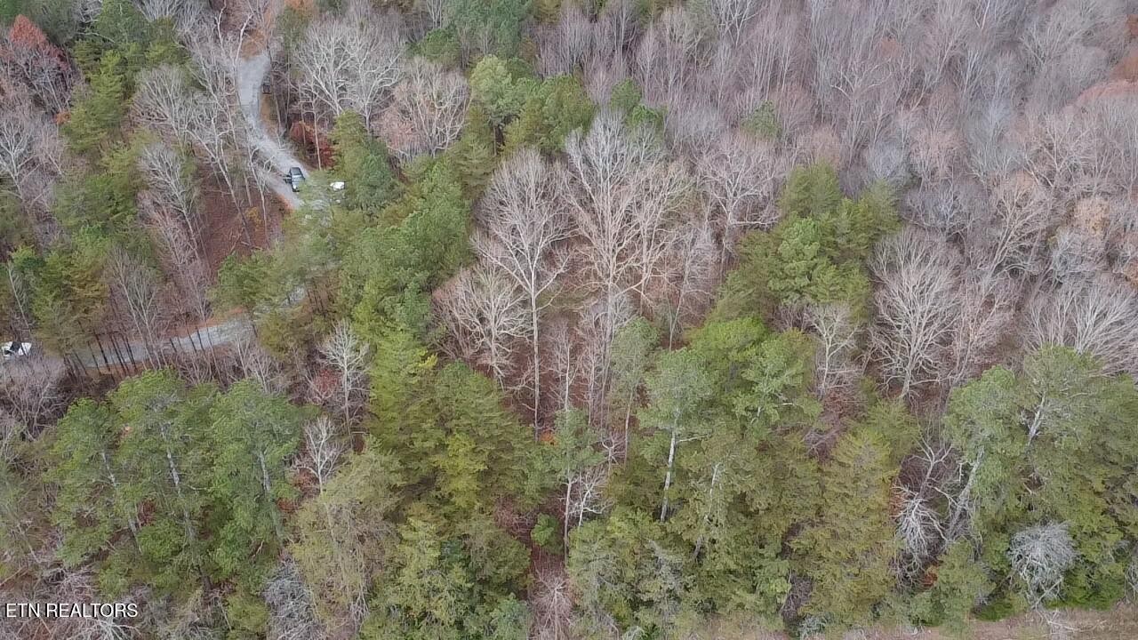 3 Parksville Road Benton, TN 37307 - Photo 6 of 10