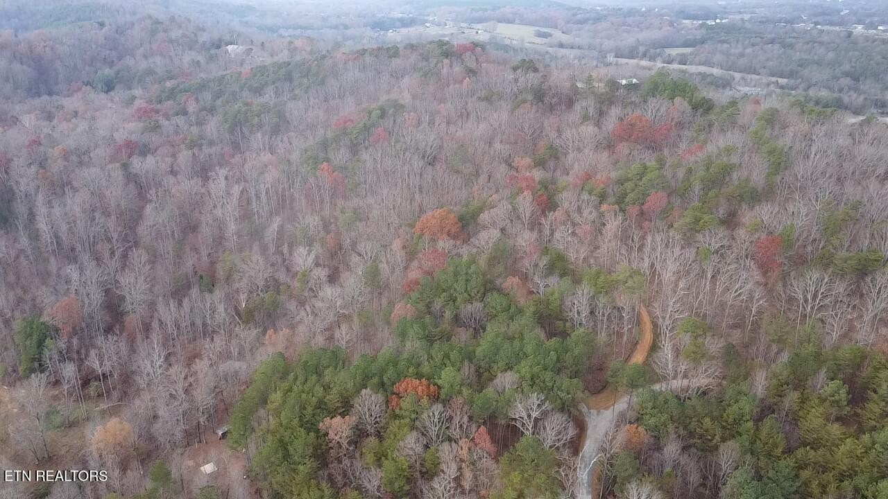 3 Parksville Road Benton, TN 37307 - Photo 7 of 10