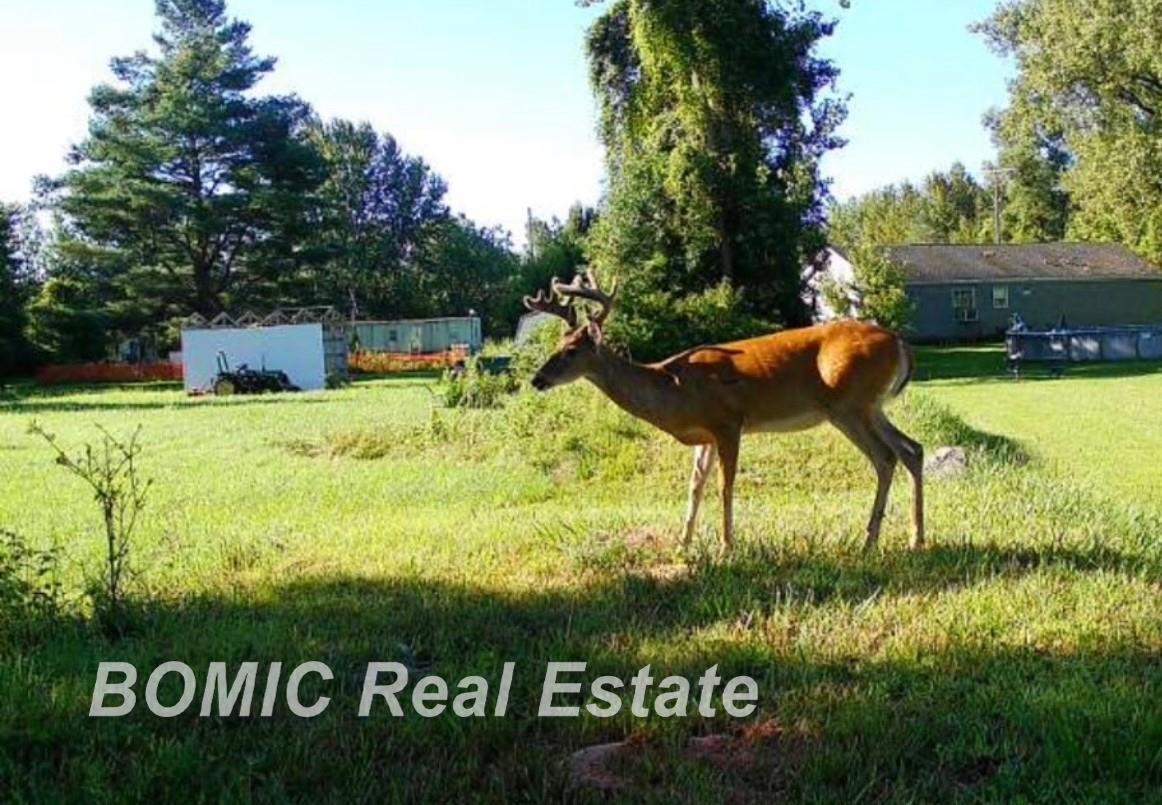 3865 Mushroom Road Caro, MI 48723 - Photo 43 of 44