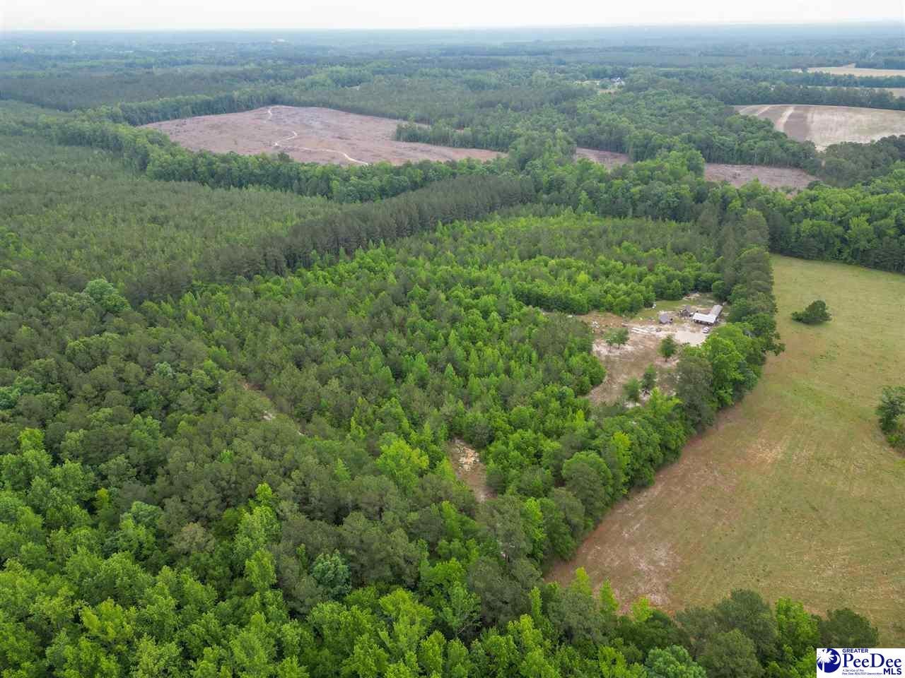 1490 Shiloh Acres Road Chesterfield, SC 29709 - Photo 7 of 39 Gallery Image 7