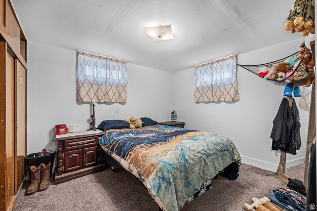 31 B Street Springville, UT 84663 - Photo 17 of 31 White walls with a ceiling-mounted light fixture, two windows, and wood-finish closet doors