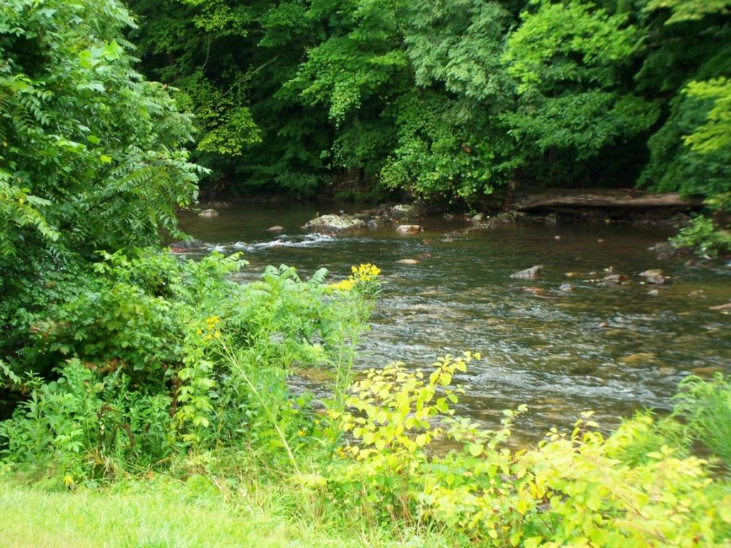 130 Journey's End Road Elizabethton, TN 37643 - Photo 17 of 26 Photo 17