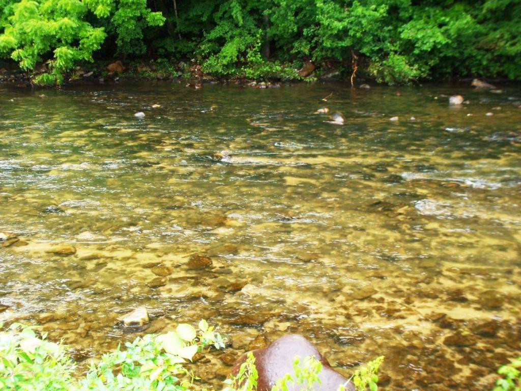 130 Journey's End Road Elizabethton, TN 37643 - Photo 18 of 26 crystal clear water