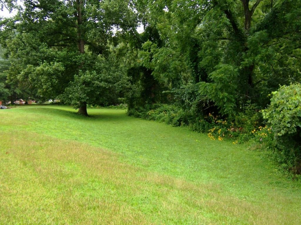 130 Journey's End Road Elizabethton, TN 37643 - Photo 24 of 26 Photo 24