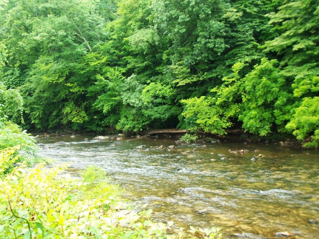 130 Journey's End Road Elizabethton, TN 37643 - Photo 3 of 26 Photo 3